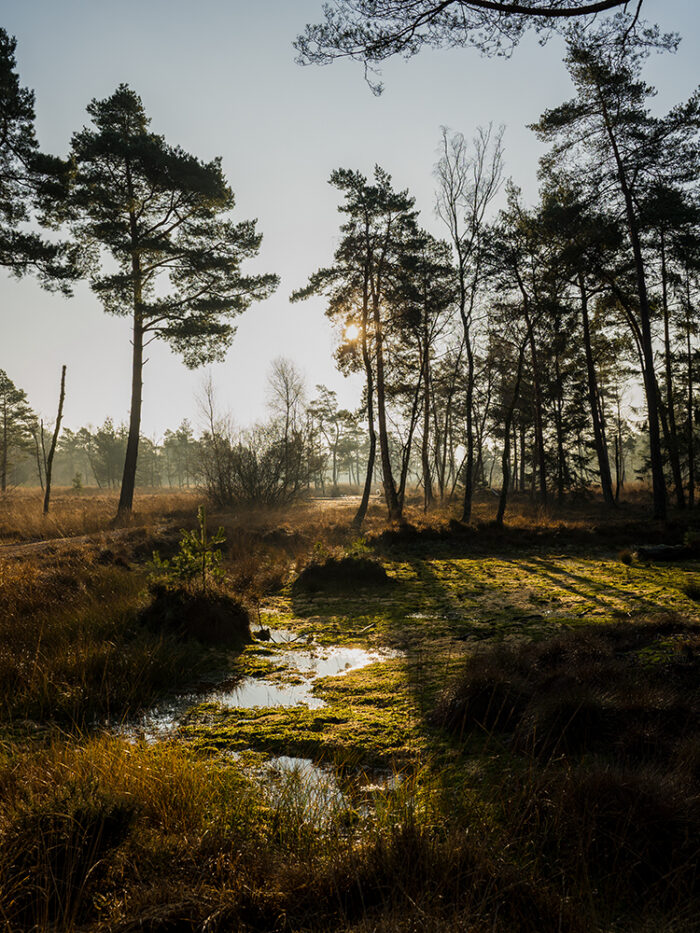 Bildershop - Galerie - Nature Landscape