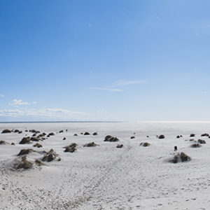 Wandbild Panorama Kniepsand - Amrum, zu kaufen im Bildershop Baltic | North Sea