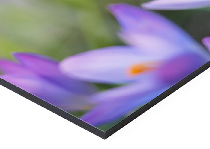 Material Alu-Dibond für Wandbilder im Bildershop
