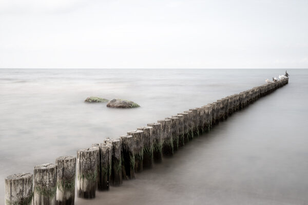 Wandbild Buhnen am Strand – Kühlungsborn, zu kaufen im Bildershop Baltic | North Sea