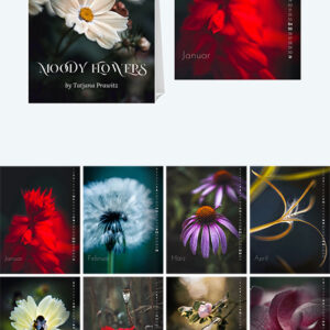 Tischkalender 2026, Edition "Moody Flowers", Größe DIN A6, Spirale, zu kaufen im Bildershop Kalender