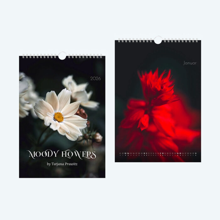Wandkalender 2026, Edition "Moody Flowers", Größe DIN A4 oder DIN A3, Spirale, zu kaufen im Bildershop Kalender