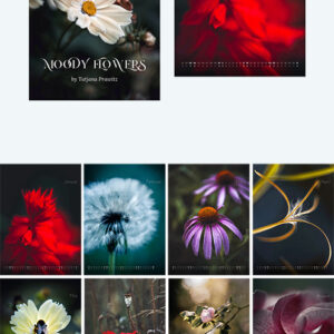 Wandkalender 2026, Edition "Moody Flowers", Größe DIN A4 oder DIN A3, Spirale, zu kaufen im Bildershop Kalender