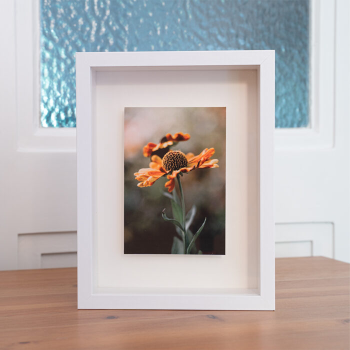 Blumenbild Gelbe Sonnenbraut im Objektrahmen von Tatjana Prawitz