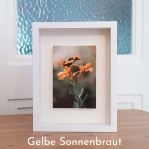 Blumenbild Gelbe Sonnenbraut im Objektrahmen von Tatjana Prawitz