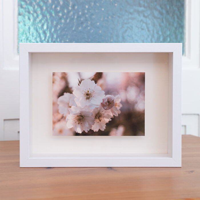 Blumenbild Kirschblüten im Objektrahmen von Tatjana Prawitz